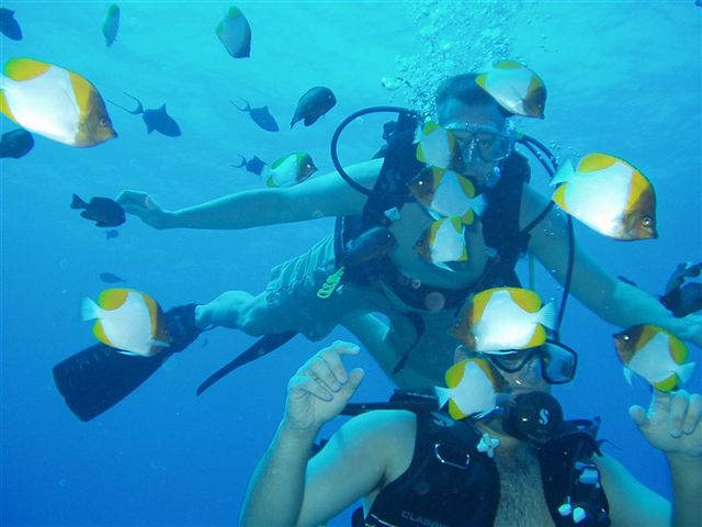 Byron & Ed surrounded by Pyramid Butterflyfish