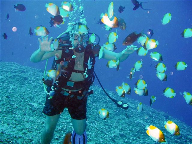 Ed at the Crevice with Redtooth Triggerfish & Pyramid Butterflyfish