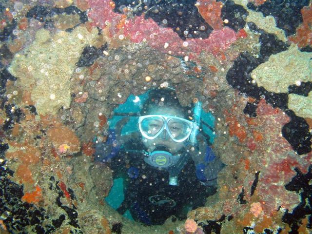 Sanae looking through the American Tanker anchor tube