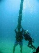 Chris balancing a sunken coconut tree on his head at Hap's Reef....at least his head is good for something!